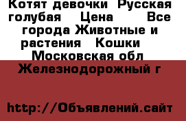 Котят девочки “Русская голубая“ › Цена ­ 0 - Все города Животные и растения » Кошки   . Московская обл.,Железнодорожный г.